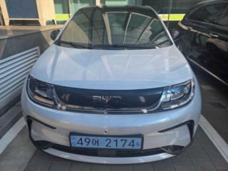 BYD 돌핀 베이스 2026년 4월